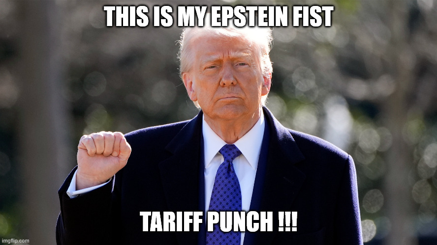 THIS IS MY EPSTEIN FIST; TARIFF PUNCH !!! | made w/ Imgflip meme maker