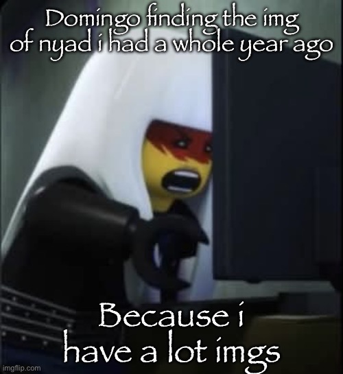 Harumi comupter | Domingo finding the img of nyad i had a whole year ago; Because i have a lot imgs | image tagged in harumi comupter | made w/ Imgflip meme maker