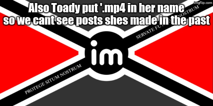 Flag of the ImgNATO by NoUBlackSmith | Also Toady put '.mp4 in her name so we cant see posts shes made in the past | image tagged in nato flag by noublacksmith | made w/ Imgflip meme maker