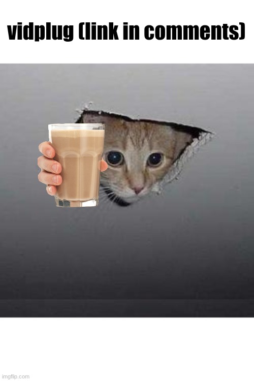 Vidplug (link in comments) Blank Meme Template