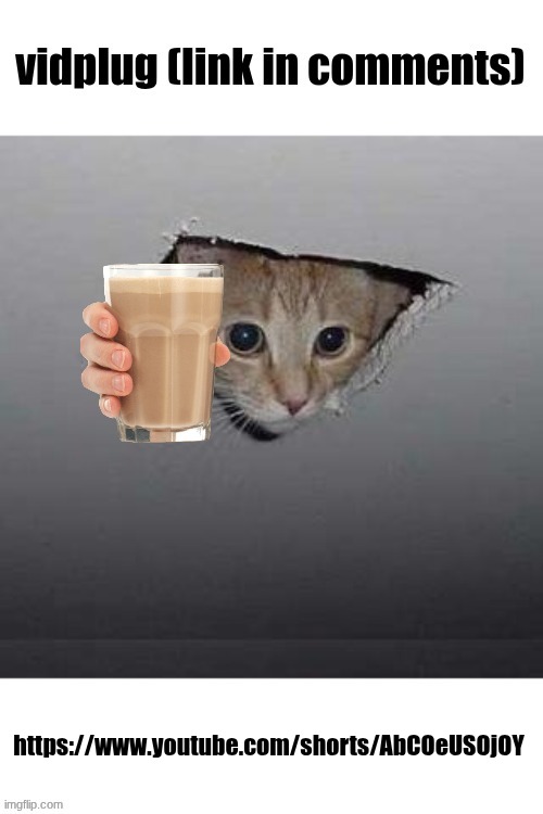 I found an absolute gem of an edit | https://www.youtube.com/shorts/AbCOeUSOjOY | image tagged in vidplug link in comments | made w/ Imgflip meme maker