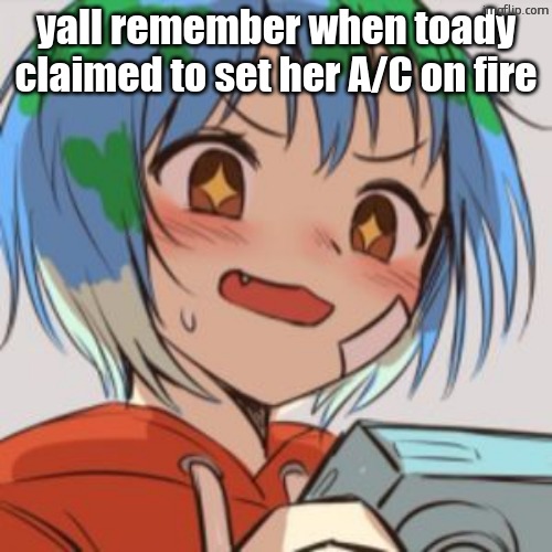 peak times | yall remember when toady claimed to set her A/C on fire | image tagged in earth chan | made w/ Imgflip meme maker