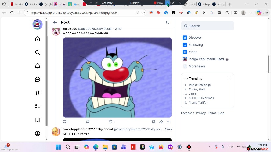 Is this how you unplug niche internet? | image tagged in oggy and the cockroaches | made w/ Imgflip meme maker