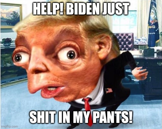 Mind and body are failing the old pervert | HELP! BIDEN JUST; SHIT IN MY PANTS! | image tagged in mocking trump,donald trump,dirty diaper,trump unfit unqualified dangerous,maga | made w/ Imgflip meme maker