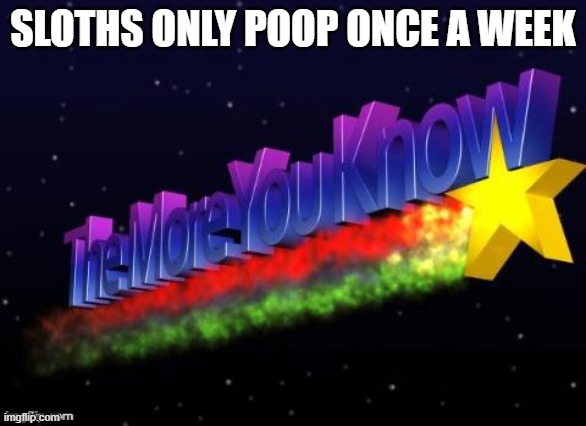 the more you know | SLOTHS ONLY POOP ONCE A WEEK | image tagged in the more you know | made w/ Imgflip meme maker