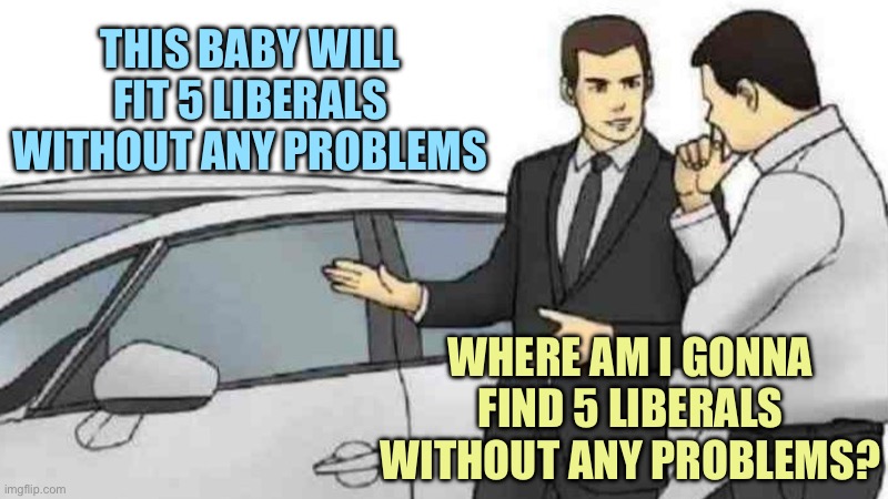 Car Salesman Slaps Roof Of Car Meme | THIS BABY WILL FIT 5 LIBERALS WITHOUT ANY PROBLEMS; WHERE AM I GONNA FIND 5 LIBERALS WITHOUT ANY PROBLEMS? | image tagged in memes,car salesman slaps roof of car | made w/ Imgflip meme maker