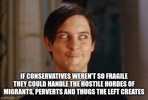 The genius left | IF CONSERVATIVES WEREN'T SO FRAGILE THEY COULD HANDLE THE HOSTILE HORDES OF MIGRANTS, PERVERTS AND THUGS THE LEFT CREATES | image tagged in tobey maguire/peter parker smirk,leftists,destruction,culture | made w/ Imgflip meme maker