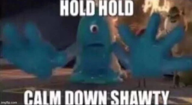 hold hold calm down shawty | image tagged in hold hold calm down shawty | made w/ Imgflip meme maker