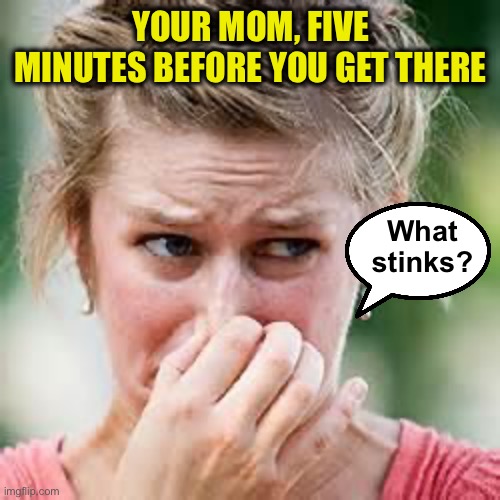 smelly | YOUR MOM, FIVE MINUTES BEFORE YOU GET THERE What stinks? | image tagged in smelly | made w/ Imgflip meme maker