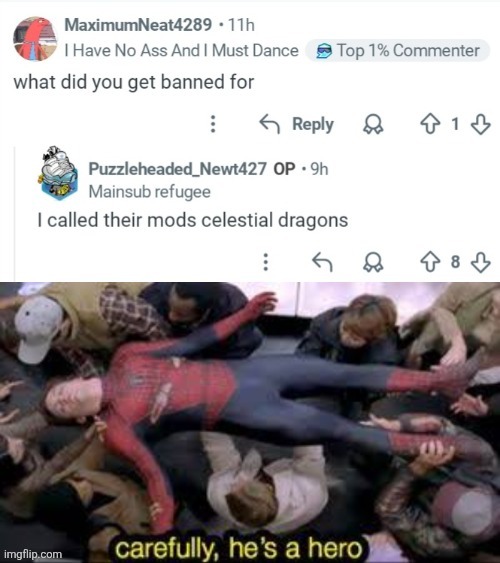 image tagged in memes,hero,reddit | made w/ Imgflip meme maker