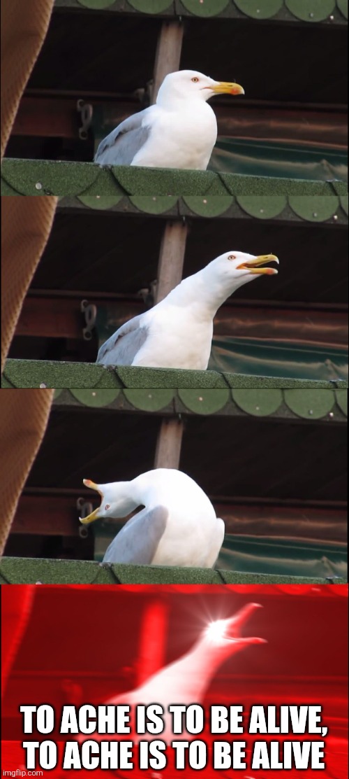Inhaling Seagull Meme | TO ACHE IS TO BE ALIVE, TO ACHE IS TO BE ALIVE | image tagged in memes,inhaling seagull | made w/ Imgflip meme maker