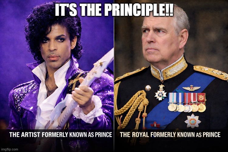 TWO PRINCES | IT'S THE PRINCIPLE!! | image tagged in prince | made w/ Imgflip meme maker
