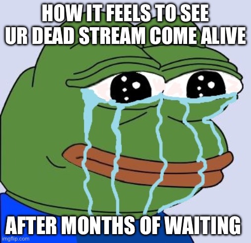 This stream is actually pretty old | HOW IT FEELS TO SEE UR DEAD STREAM COME ALIVE; AFTER MONTHS OF WAITING | image tagged in pepe happy crying | made w/ Imgflip meme maker