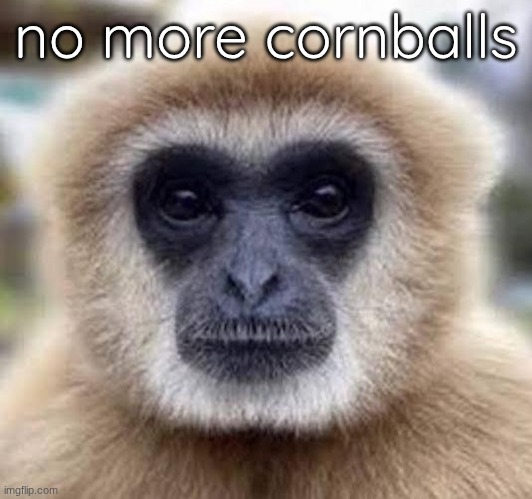 I'm enough as it is. we don't need any more | no more cornballs | image tagged in kill 7 bilion people | made w/ Imgflip meme maker