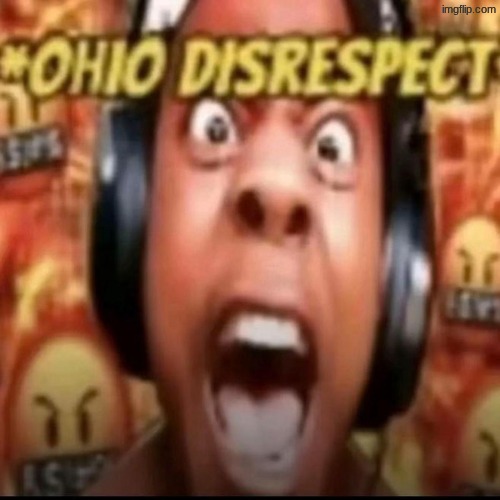 Ohio Disrespect | image tagged in ohio disrespect | made w/ Imgflip meme maker