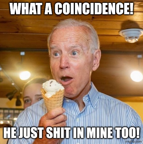 WHAT A COINCIDENCE! HE JUST SHIT IN MINE TOO! | image tagged in biden loves ice cream | made w/ Imgflip meme maker