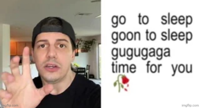 Goodnight chat | image tagged in goodnight chat | made w/ Imgflip meme maker