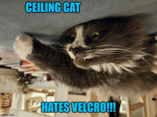 Ceiling Cat Hates Velcro | image tagged in ceiling cat,cat,funny | made w/ Imgflip meme maker