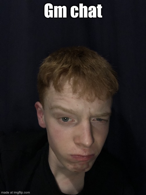 Really | Gm chat | image tagged in really | made w/ Imgflip meme maker