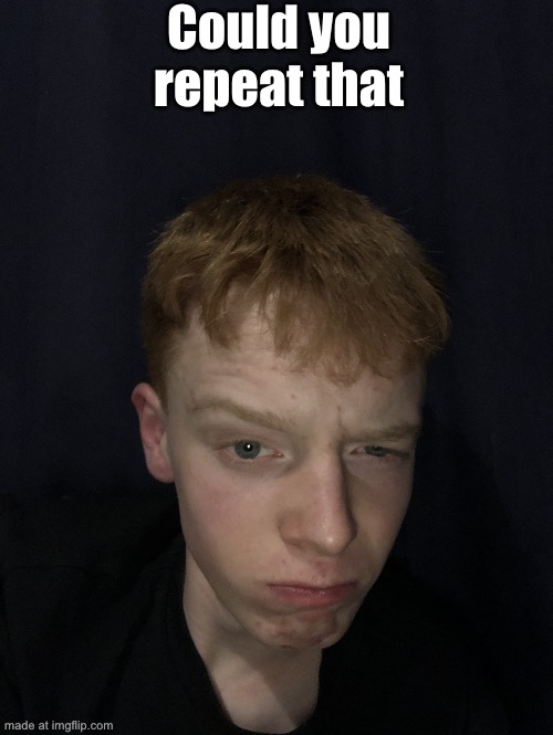 Really | Could you repeat that | image tagged in really | made w/ Imgflip meme maker