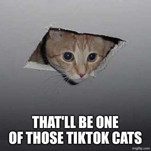 Ceiling Cat Meme | THAT'LL BE ONE OF THOSE TIKTOK CATS | image tagged in memes,ceiling cat | made w/ Imgflip meme maker