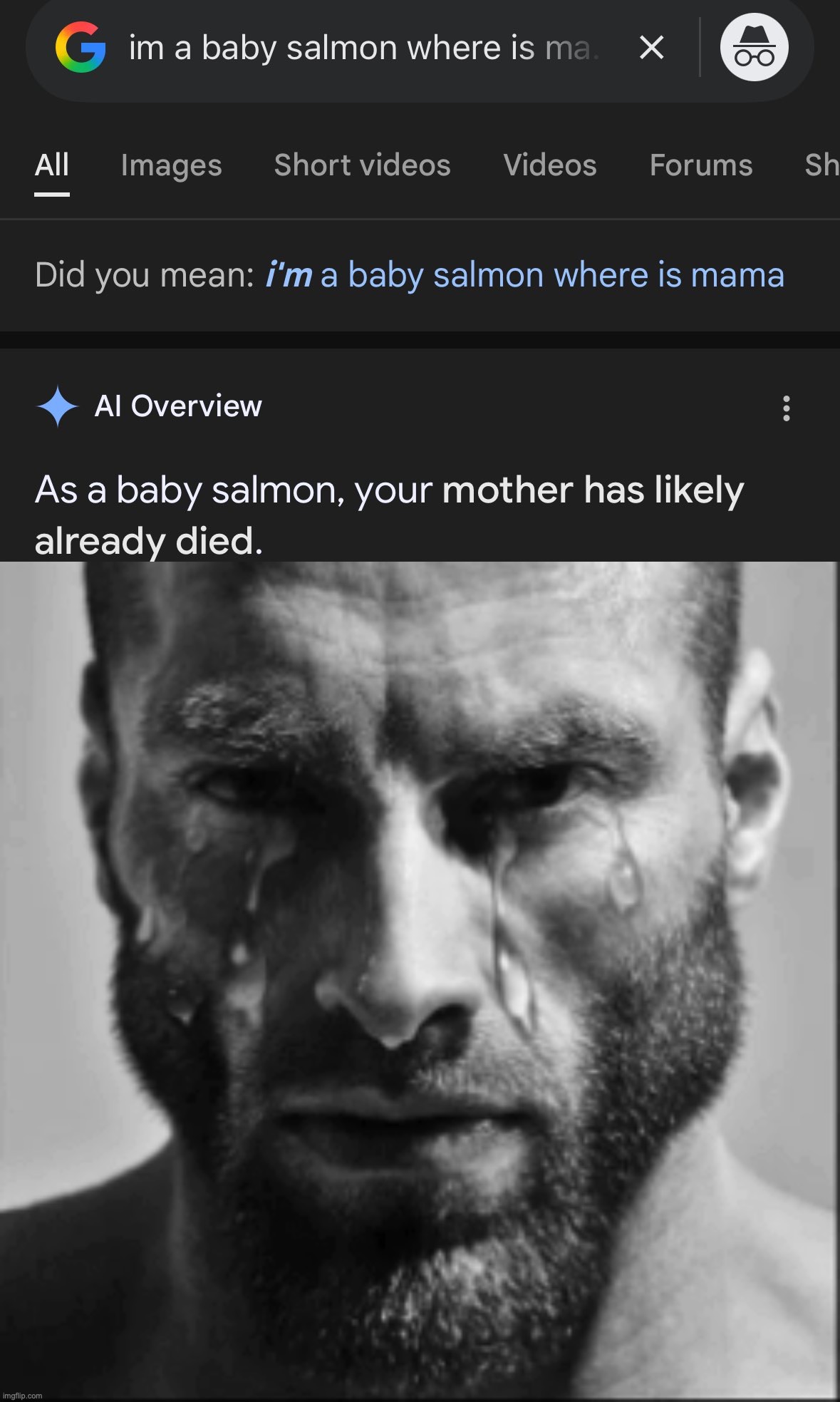 salmon roe | image tagged in crying gigachad | made w/ Imgflip meme maker