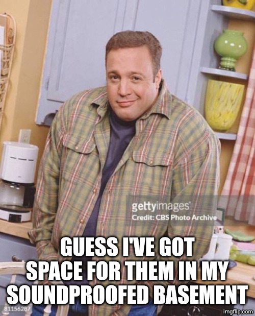 Kevin James | GUESS I'VE GOT SPACE FOR THEM IN MY SOUNDPROOFED BASEMENT | image tagged in kevin james | made w/ Imgflip meme maker