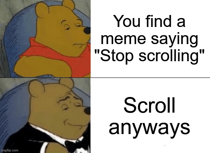 Tuxedo Winnie The Pooh Meme | You find a meme saying "Stop scrolling" Scroll anyways | image tagged in memes,tuxedo winnie the pooh | made w/ Imgflip meme maker