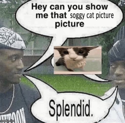 Splendid. | made w/ Imgflip meme maker