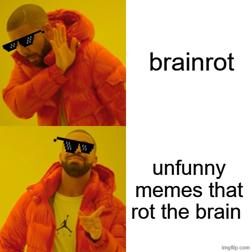 this is what brainrot is | brainrot; unfunny memes that rot the brain | image tagged in memes,drake hotline bling | made w/ Imgflip meme maker