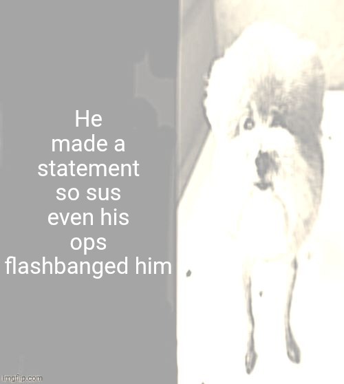 He made a statement so sus | He made a statement so sus even his ops flashbanged him | image tagged in he made a statement blank,statement,sus | made w/ Imgflip meme maker