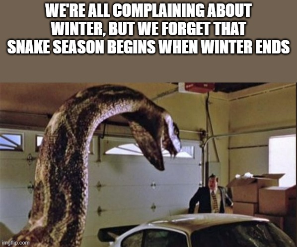 Snake Season Begins When Winter Ends | WE'RE ALL COMPLAINING ABOUT WINTER, BUT WE FORGET THAT SNAKE SEASON BEGINS WHEN WINTER ENDS | image tagged in snake,winter,snake season,cold,funny,memes | made w/ Imgflip meme maker