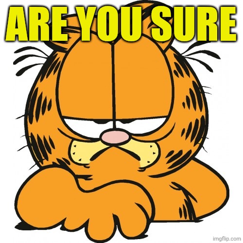 Garfield | ARE YOU SURE | image tagged in garfield | made w/ Imgflip meme maker
