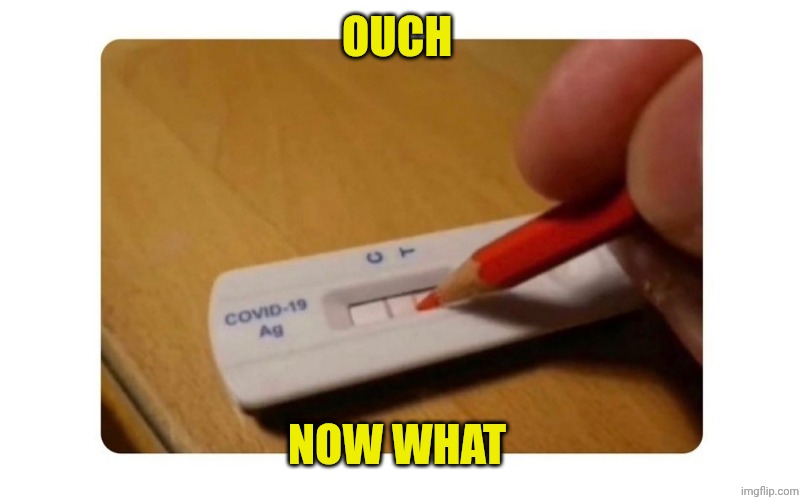 Covid rapid test | OUCH; NOW WHAT | image tagged in covid rapid test | made w/ Imgflip meme maker