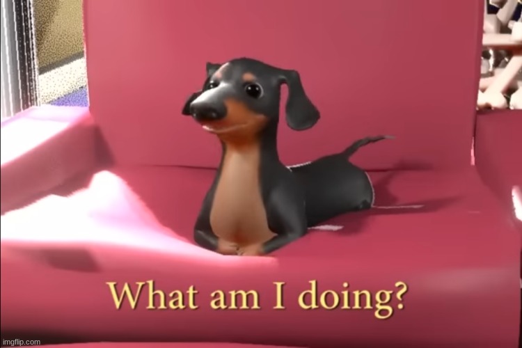 What am I doing? | image tagged in what am i doing | made w/ Imgflip meme maker