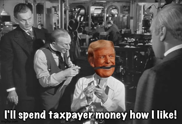 I'll spend my money how I like | I'll spend taxpayer money how I like! | image tagged in i'll spend my money how i like | made w/ Imgflip meme maker