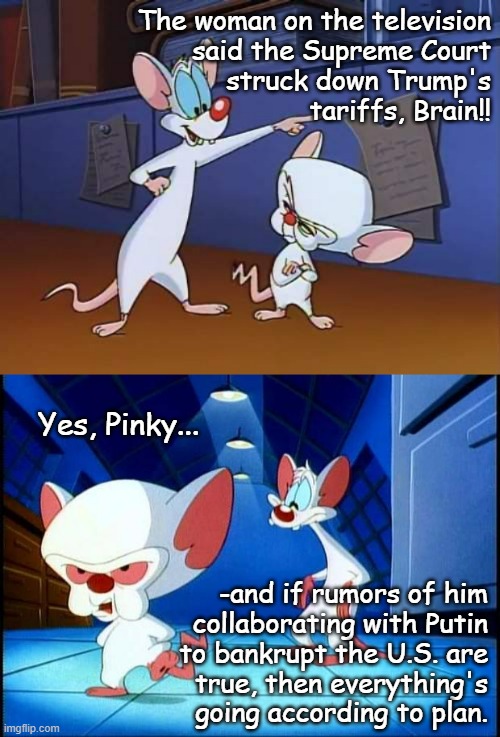 And now that money has to be returned to its rightful owners. | The woman on the television
said the Supreme Court
struck down Trump's
tariffs, Brain!! Yes, Pinky... -and if rumors of him
collaborating with Putin
to bankrupt the U.S. are
true, then everything's
going according to plan. | image tagged in skeptical brain,pinky and the brain monday,bankruptcy,trump unfit unqualified dangerous,just sayin' | made w/ Imgflip meme maker