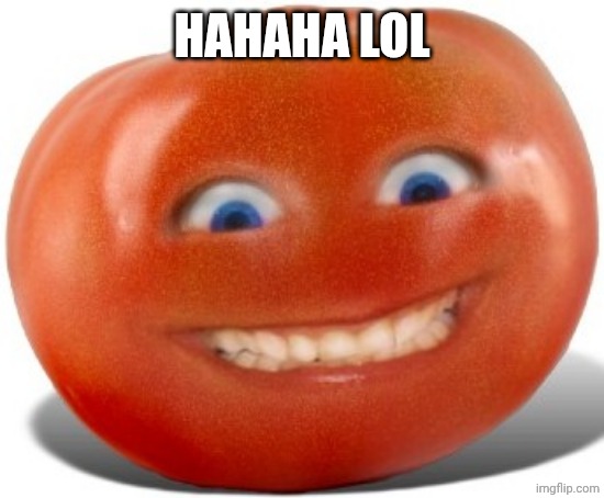 Tomato | HAHAHA LOL | image tagged in tomato | made w/ Imgflip meme maker