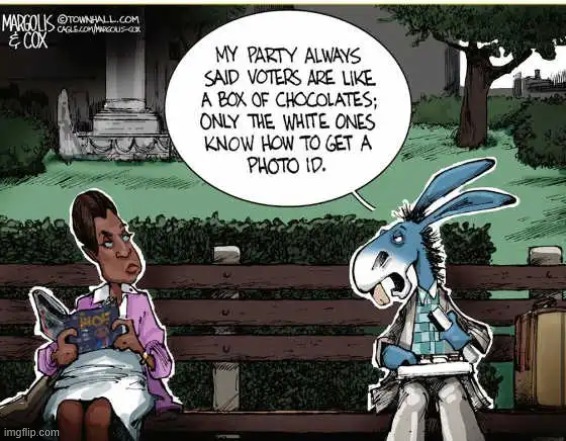 Democrats don't want IDs cuz it makes it harder to CHEAT | image tagged in obvious,obviously,democrats,cheaters,voter fraud,election fraud | made w/ Imgflip meme maker