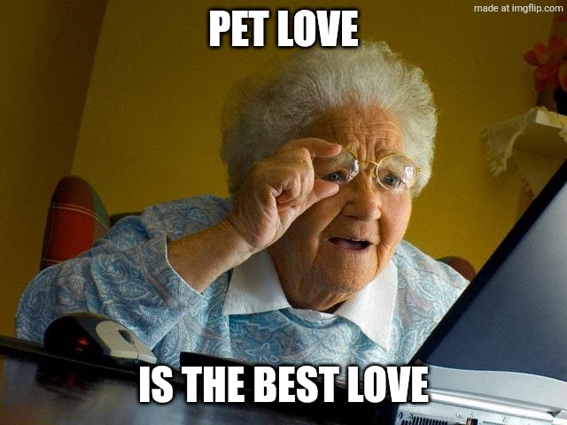 Grandma Finds The Internet Meme | PET LOVE IS THE BEST LOVE | image tagged in memes,grandma finds the internet | made w/ Imgflip meme maker