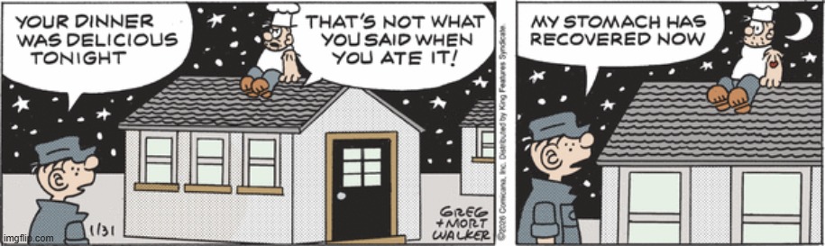 Beetle Bailey | image tagged in comics | made w/ Imgflip meme maker