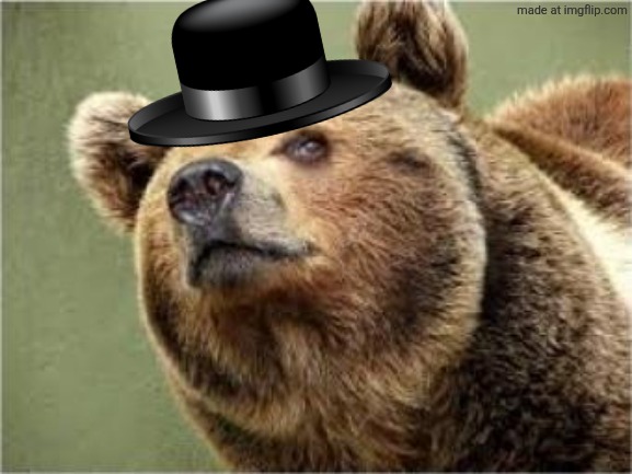 Smug Bear Meme | image tagged in memes,smug bear | made w/ Imgflip meme maker