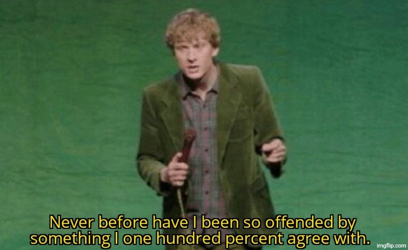 Never before have I been so offended by something I one hundred | image tagged in never before have i been so offended by something i one hundred | made w/ Imgflip meme maker