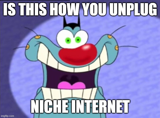 Niche internet | IS THIS HOW YOU UNPLUG; NICHE INTERNET | image tagged in oggy and the cockroaches,niche internet,oggy | made w/ Imgflip meme maker