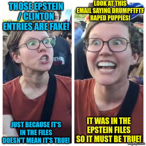 THOSE EPSTEIN / CLINTON ENTRIES ARE FAKE! JUST BECAUSE IT'S IN THE FILES DOESN'T MEAN IT'S TRUE! LOOK AT THIS EMAIL SAYING DRUMPFTFTF RAPED  | image tagged in social justice warrior hypocrisy | made w/ Imgflip meme maker