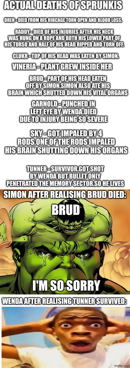 it's true that Brud actually died | SIMON AFTER REALISING BRUD DIED:; BRUD; I'M SO SORRY; WENDA AFTER REALISING TUNNER SURVIVED: | image tagged in crying hulk | made w/ Imgflip meme maker