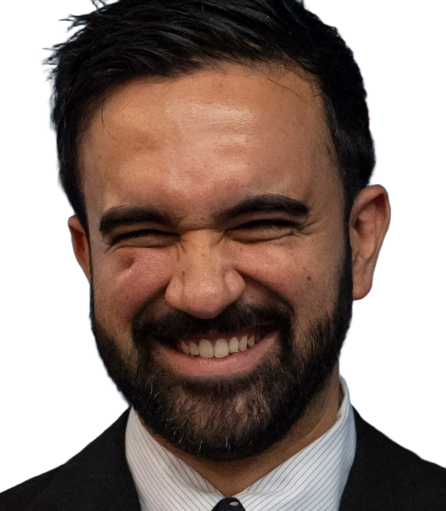 Mandami smirk Blank Meme Template