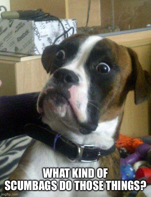 Blankie the Shocked Dog | WHAT KIND OF SCUMBAGS DO THOSE THINGS? | image tagged in blankie the shocked dog | made w/ Imgflip meme maker