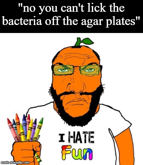 I hate fun | "no you can't lick the bacteria off the agar plates" | image tagged in i hate fun | made w/ Imgflip meme maker