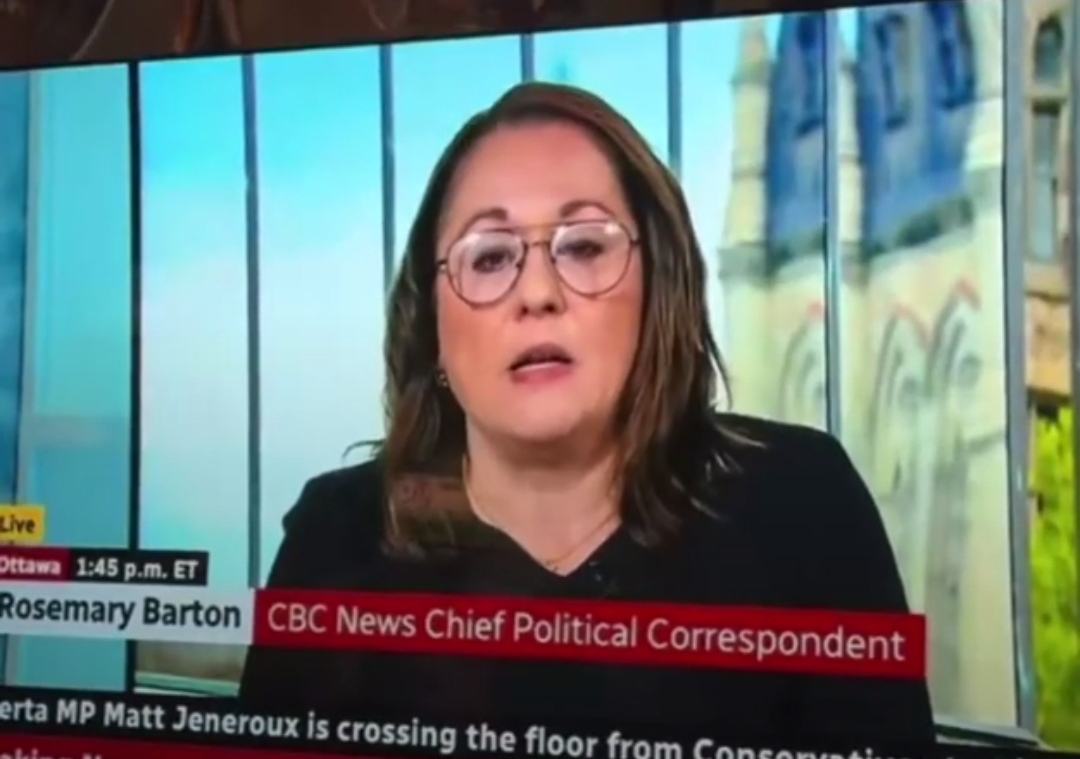 Rosemary barton Blank Meme Template